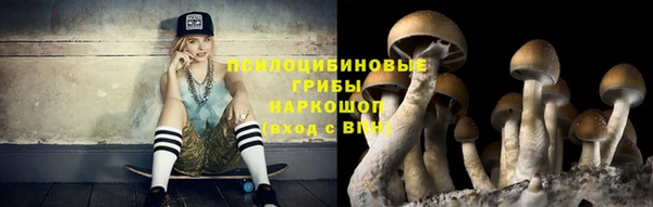 дурь Алагир