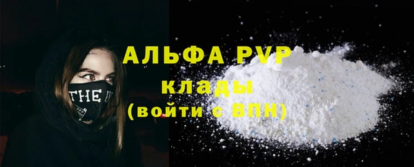 Альфа ПВП Гусев